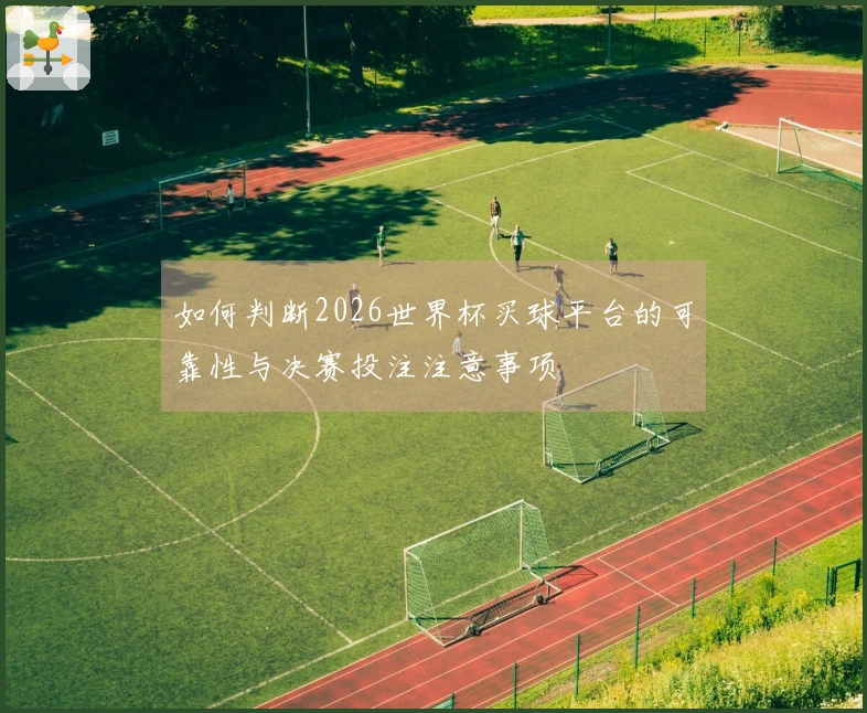 如何判断2026世界杯买球平台的可靠性与决赛投注注意事项