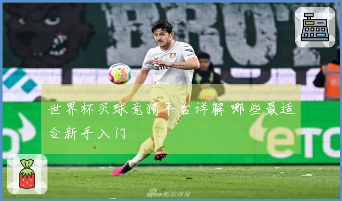世界杯买球竞猜平台详解 哪些最适合新手入门