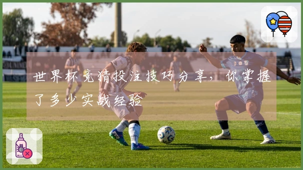 世界杯竞猜投注技巧分享，你掌握了多少实战经验