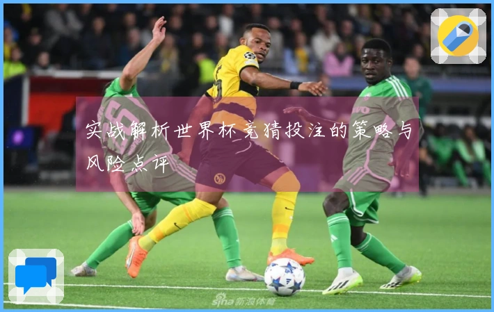 实战解析世界杯竞猜投注的策略与风险点评