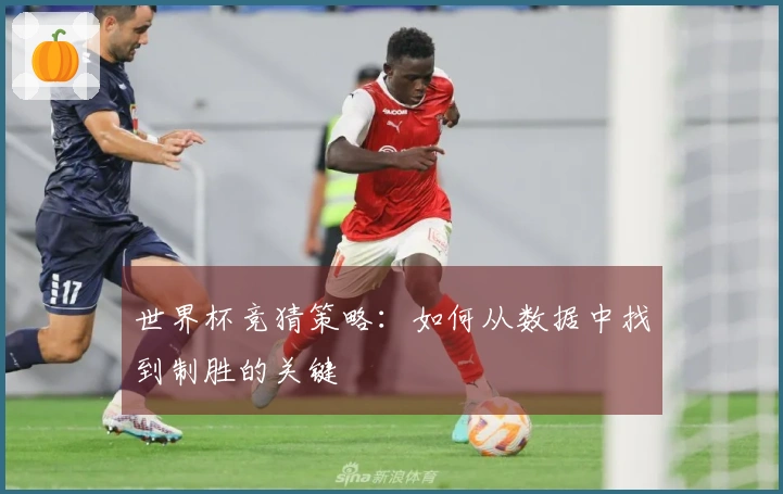 世界杯竞猜策略：如何从数据中找到制胜的关键