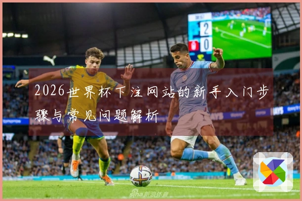 2026世界杯下注网站的新手入门步骤与常见问题解析