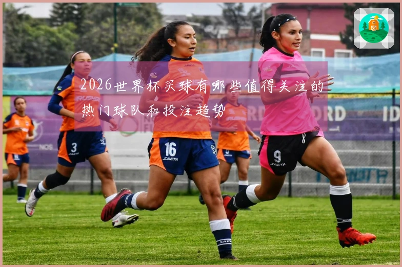 2026世界杯买球有哪些值得关注的热门球队和投注趋势