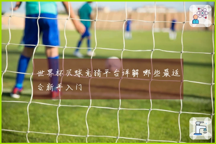 世界杯买球竞猜平台详解 哪些最适合新手入门