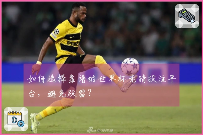 如何选择靠谱的世界杯竞猜投注平台，避免踩雷？