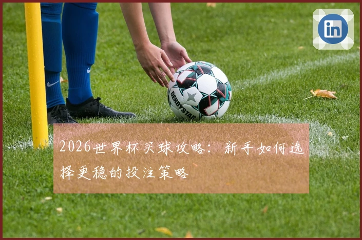 2026世界杯买球攻略：新手如何选择更稳的投注策略
