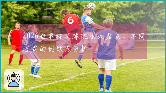 2026世界杯买球玩法大盘点，不同方式的优缺点分析