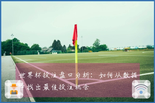世界杯投注盘口分析：如何从数据中找出最佳投注机会