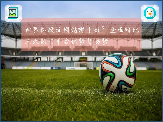 世界杯投注网站哪个好？全面对比三大热门平台优势与劣势