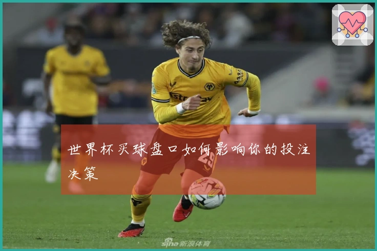 世界杯买球盘口如何影响你的投注决策