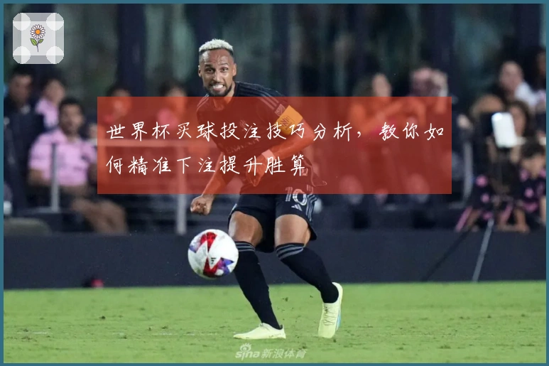 世界杯买球投注技巧分析，教你如何精准下注提升胜算