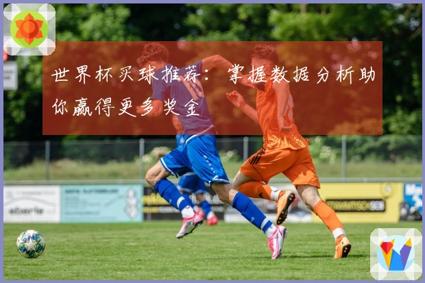 世界杯买球推荐：掌握数据分析助你赢得更多奖金