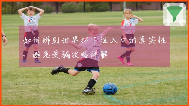 如何辨别世界杯下注入口的真实性，避免受骗攻略详解