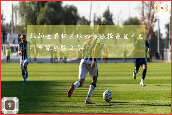 2026世界杯买球如何选择最佳平台，专家经验分享