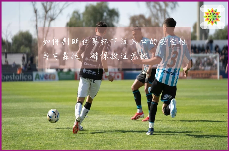 如何判断世界杯下注入口的安全性与可靠性，确保投注无忧-