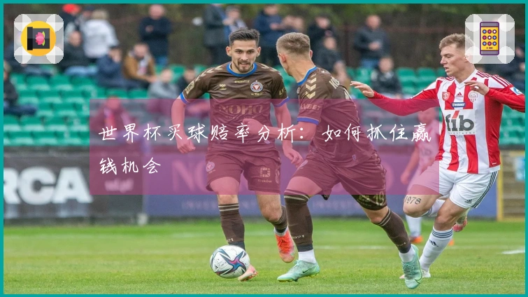 世界杯买球赔率分析：如何抓住赢钱机会