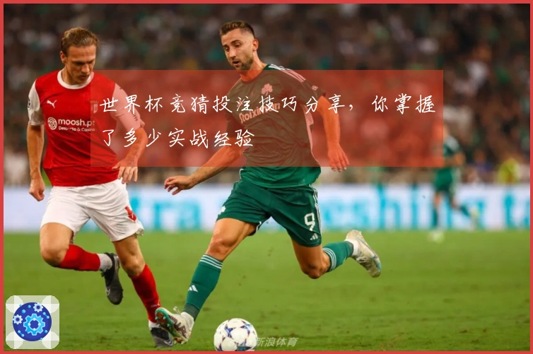 世界杯竞猜投注技巧分享，你掌握了多少实战经验