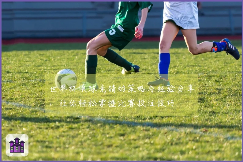 世界杯滚球竞猜的策略与经验分享，让你轻松掌握比赛投注技巧