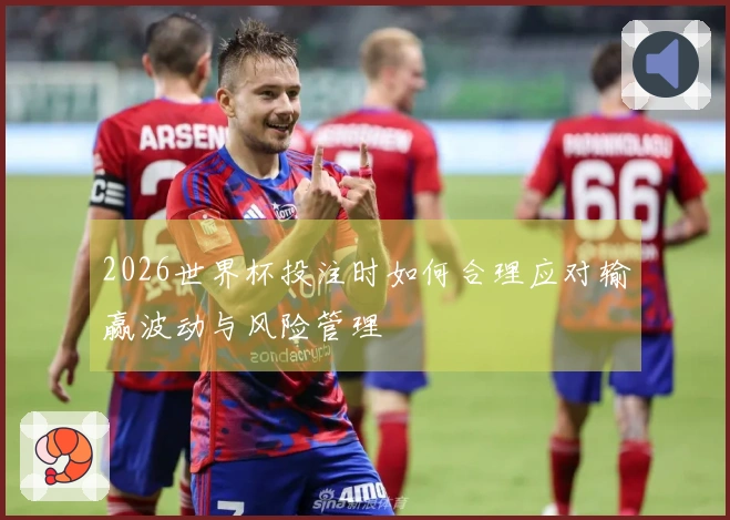 2026世界杯投注时如何合理应对输赢波动与风险管理