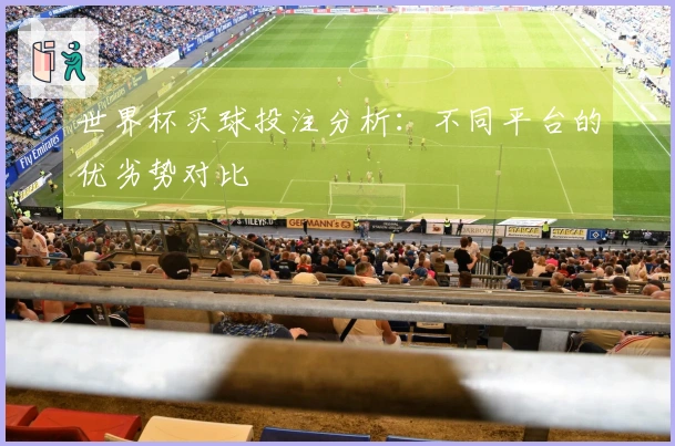 世界杯买球投注分析：不同平台的优劣势对比