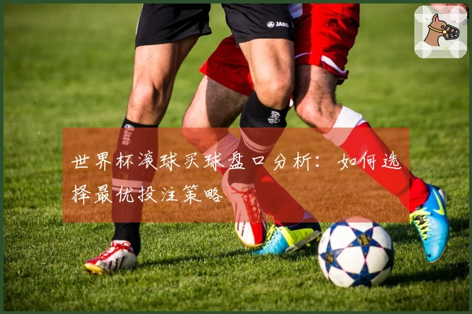 世界杯滚球买球盘口分析：如何选择最优投注策略