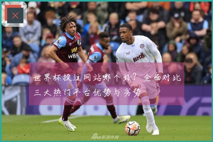 世界杯投注网站哪个好？全面对比三大热门平台优势与劣势