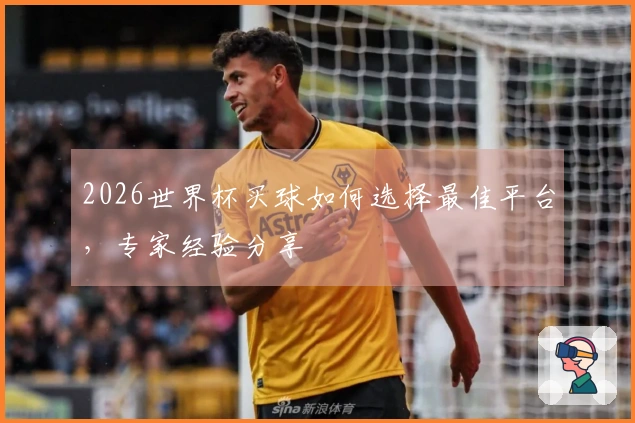 2026世界杯买球如何选择最佳平台，专家经验分享