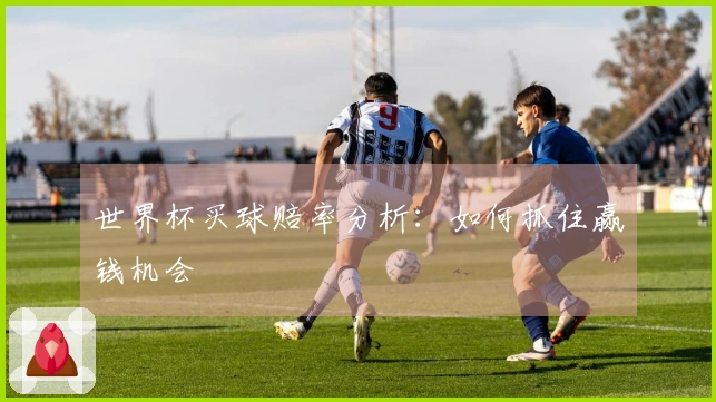 世界杯买球赔率分析：如何抓住赢钱机会